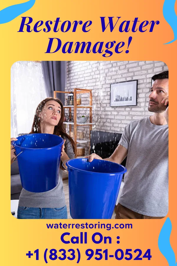 water restoration Sentinel Extraction Services Stony Ridge